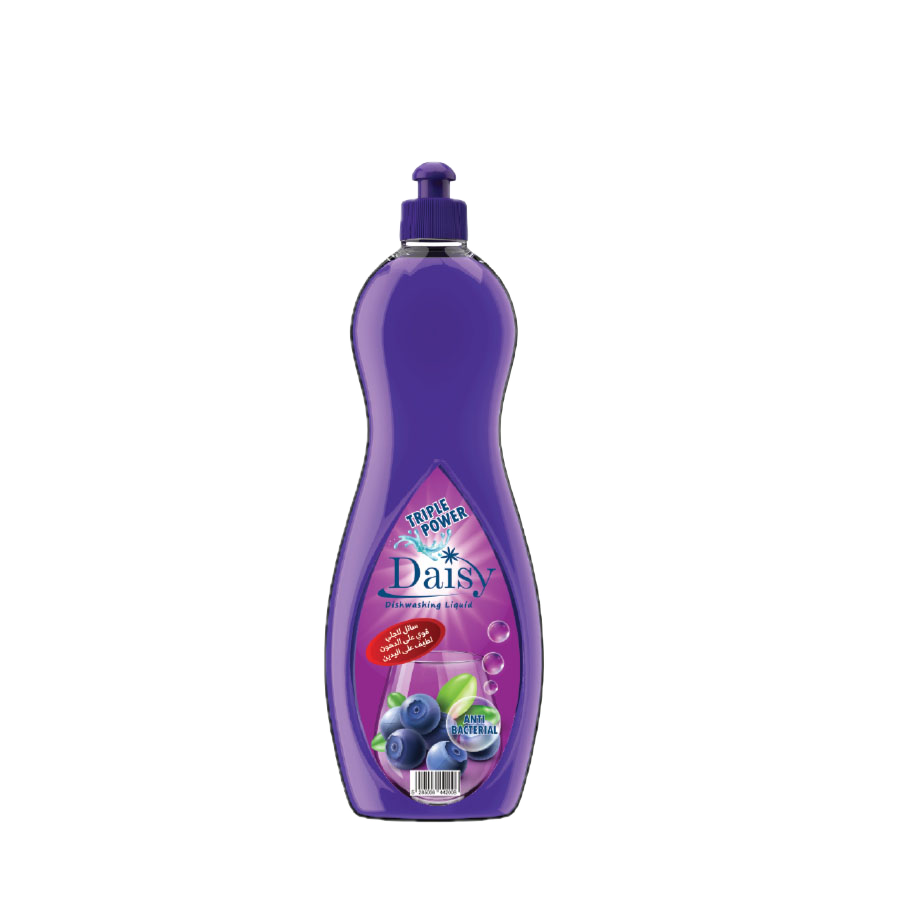 Dishwashing Liquid – Blueberry Anti-Bacterial