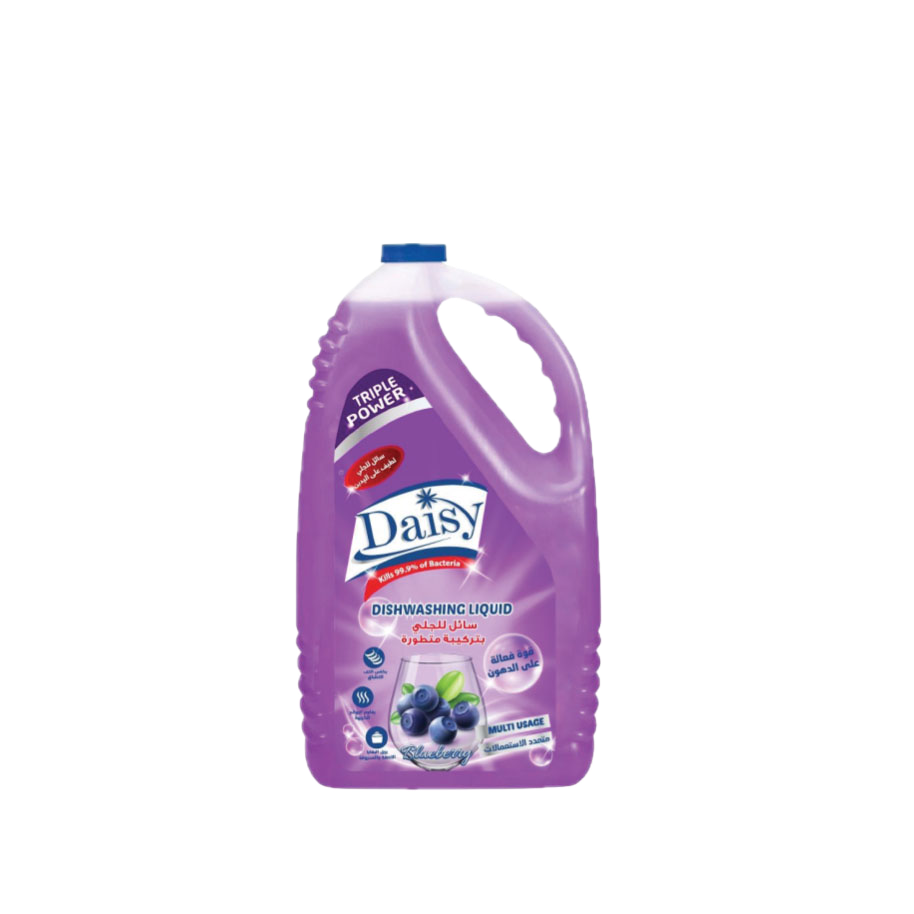 Dishwashing Liquid – Blueberry Fragrance