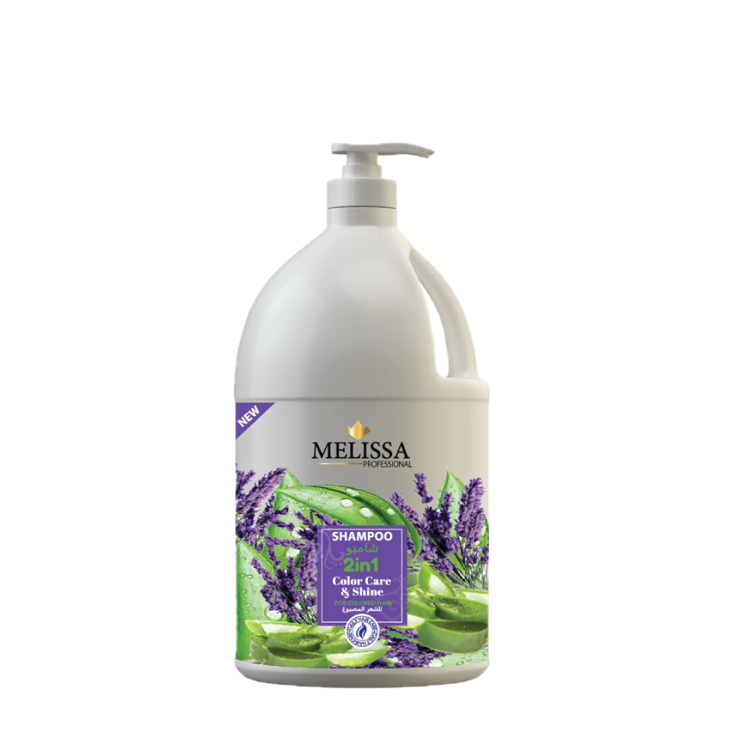Shampoo 2in1 Care & Shine
