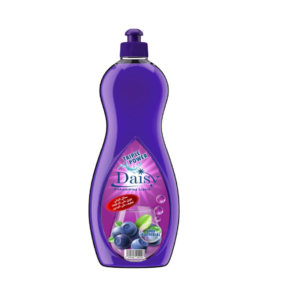 Dishwashing Liquid Blueberries