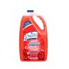 Handsoap Gallon |  Red Rose - Image 2